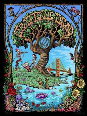 Grateful Dead 60th Anniversary Poster Tapestry by Mike DuBois ~ 30x45 ~ New!